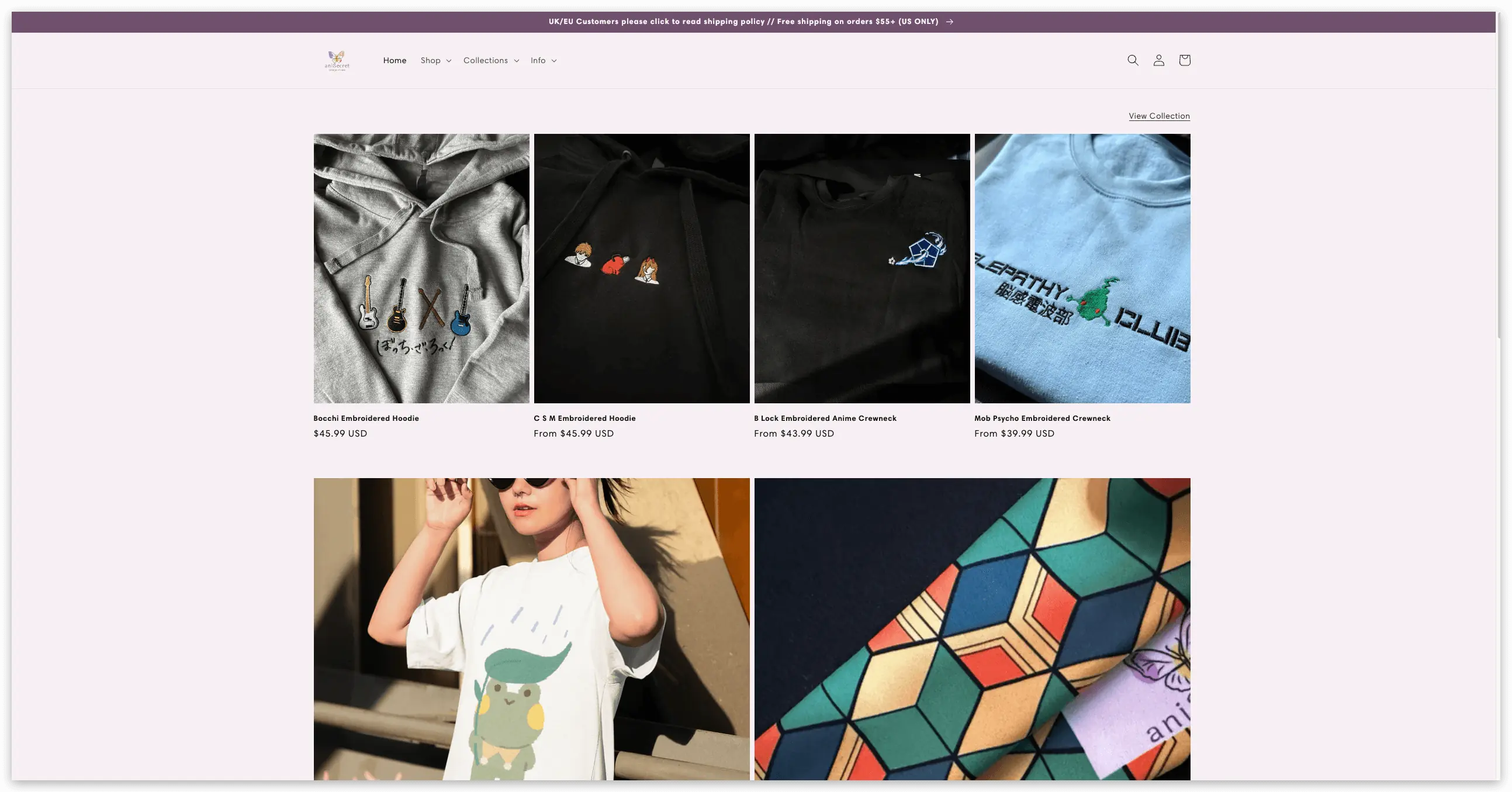 Picture of the Anisecret website